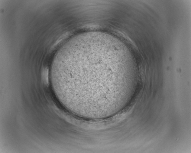 X0000074030024200609111725