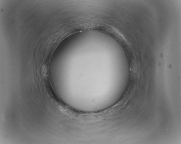 X0000074030025200609111725