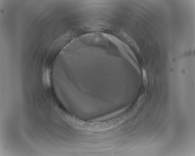 X0000074030026200609111725