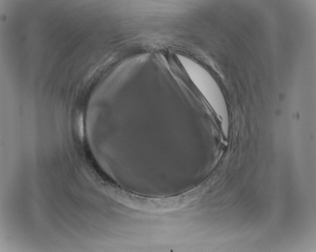 X0000074030027200609111725