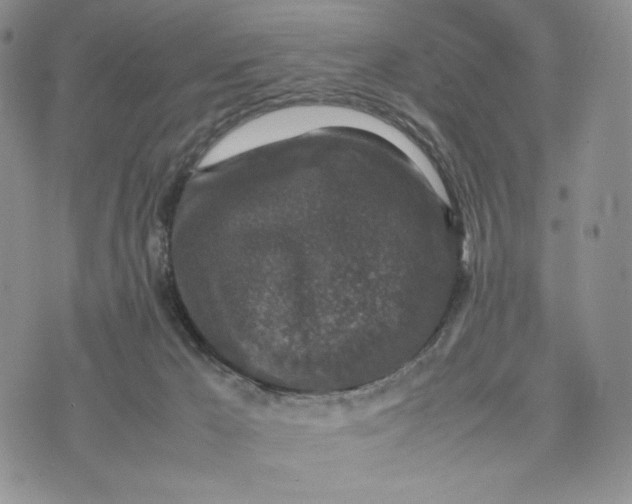 X0000074030029200609111725