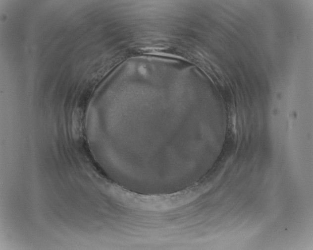 X0000074030030200609111725