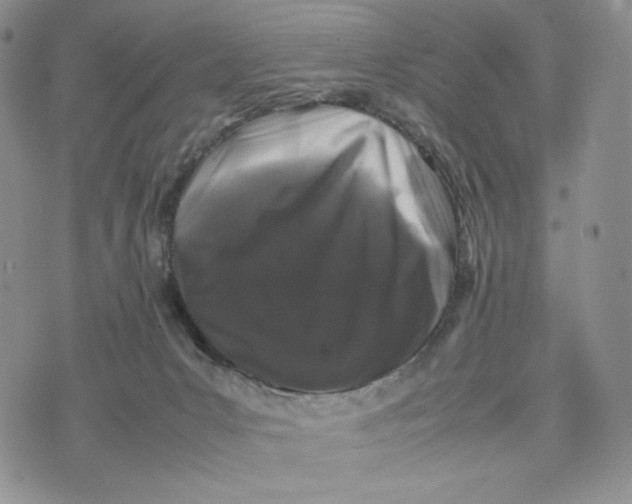 X0000074030031200609111725