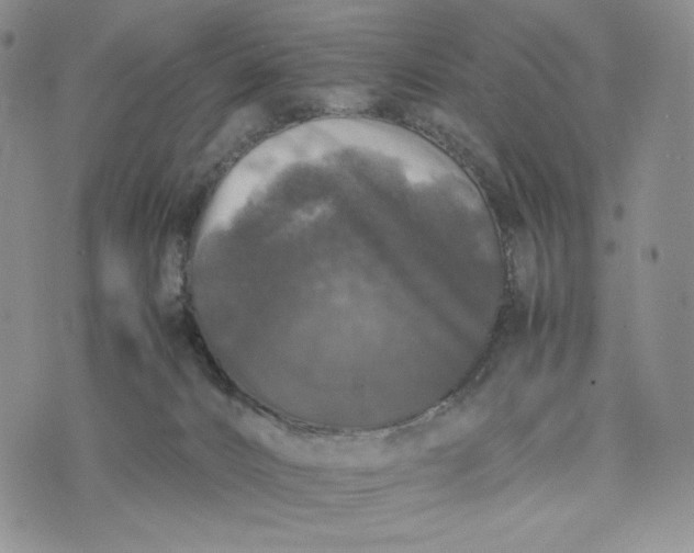 X0000074030032200609111725