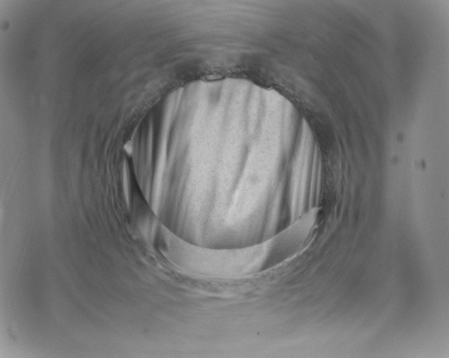 X0000074030033200609111725