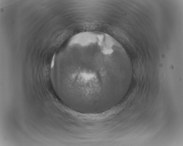 X0000074030034200609111725