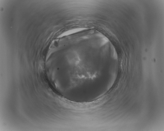 X0000074030035200609111725