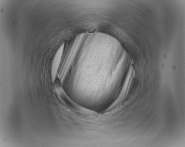 X0000074030037200609111725