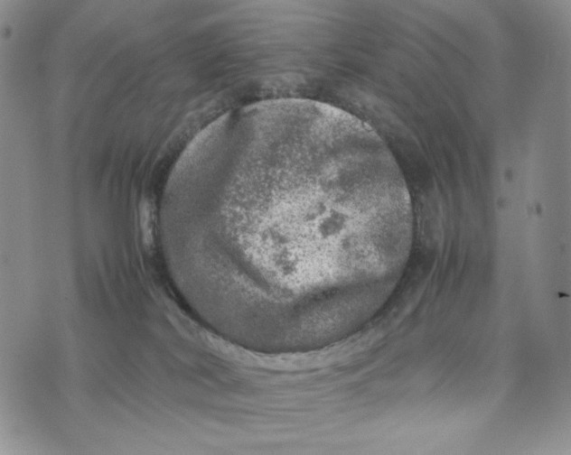 X0000074030038200609111725