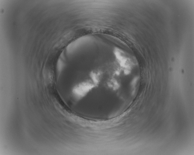 X0000074030039200609111725