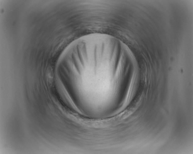 X0000074030040200609111725