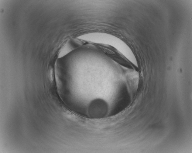 X0000074030041200609111725