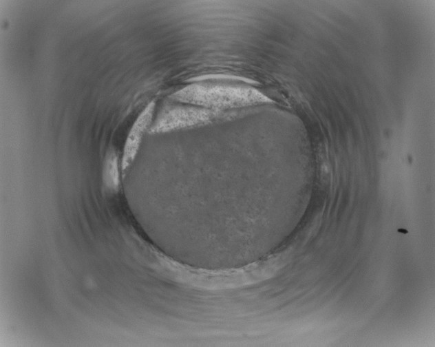 X0000074030042200609111725