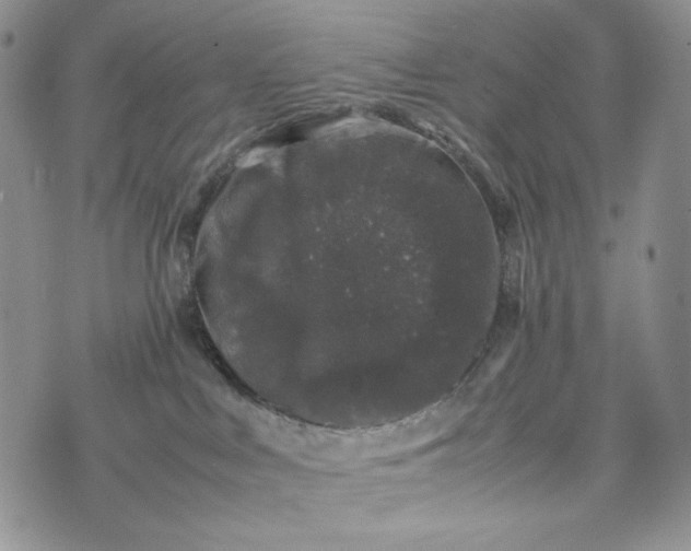 X0000074030043200609111725