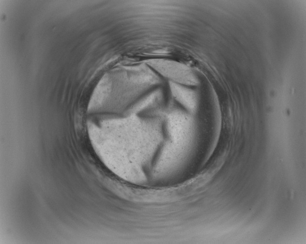 X0000074030044200609111725