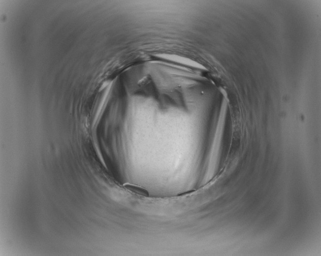 X0000074030045200609111725