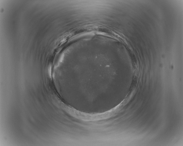 X0000074030047200609111725