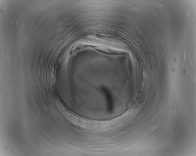 X0000074030048200609111725