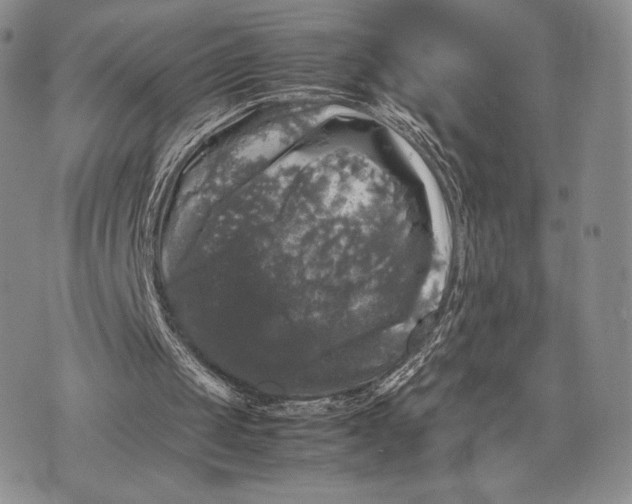 X0000074030049200609111724