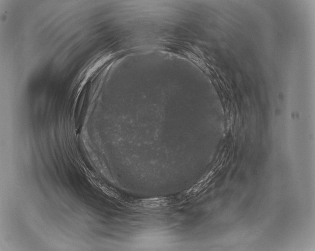 X0000074030050200609111724