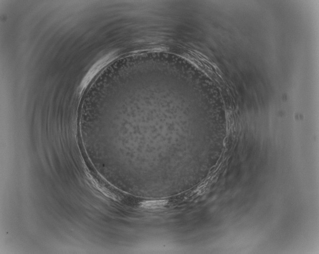 X0000074030051200609111724