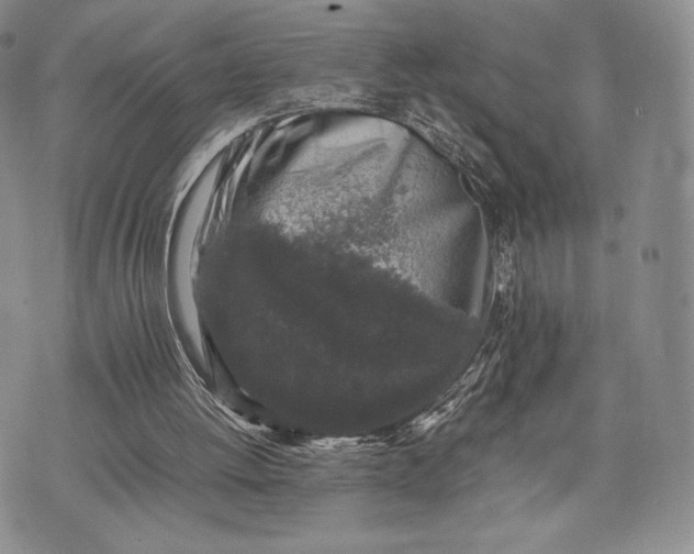 X0000074030052200609111724