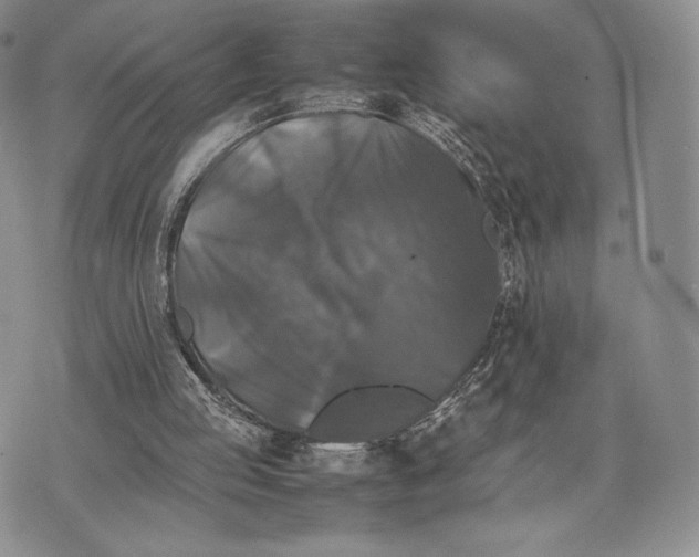 X0000074030053200609111724