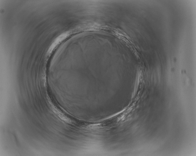 X0000074030054200609111724