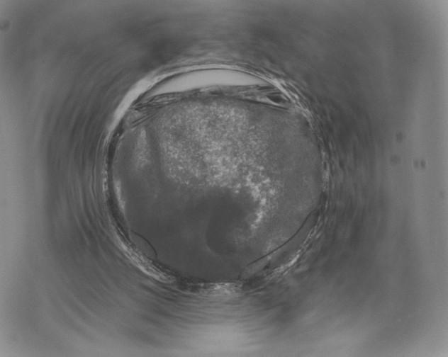 X0000074030056200609111724