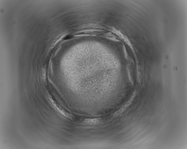 X0000074030057200609111724