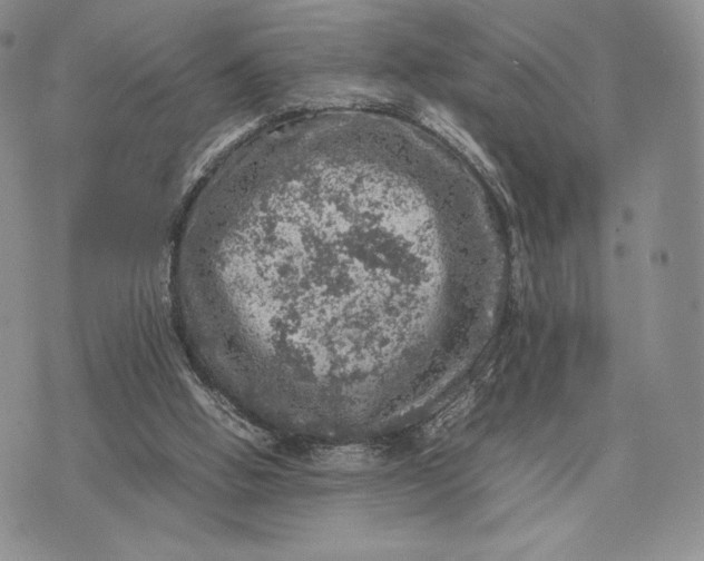 X0000074030058200609111724