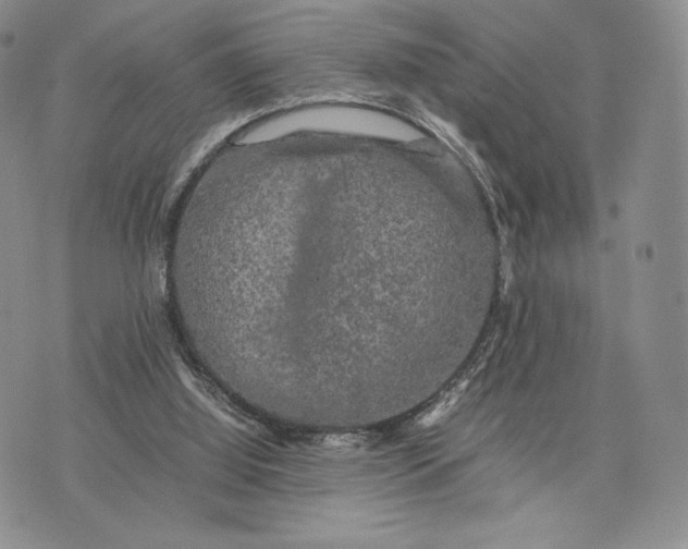 X0000074030060200609111724