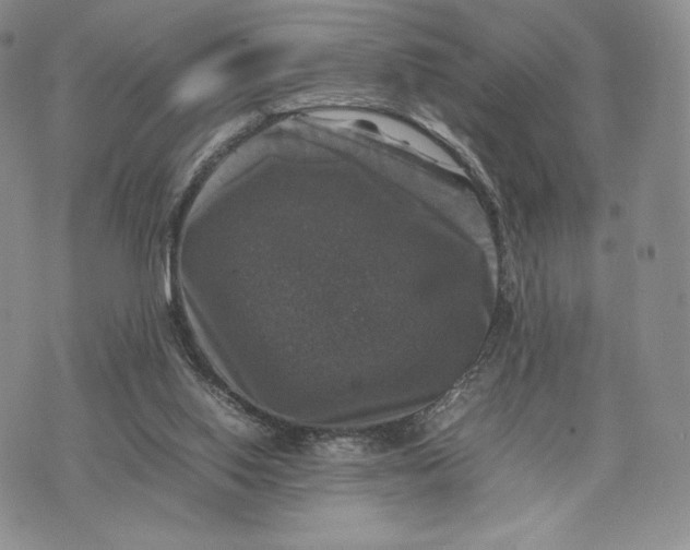 X0000074030062200609111724