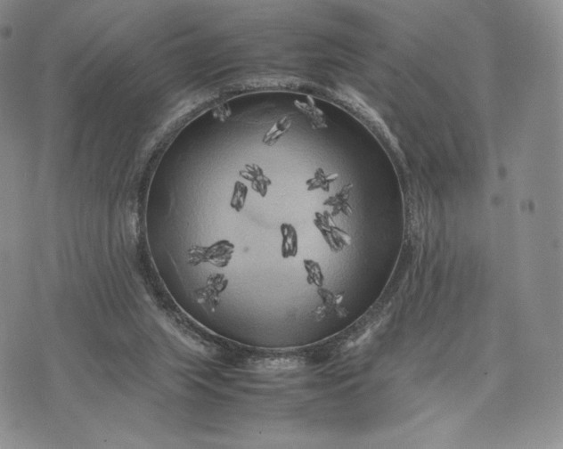 X0000074030063200609111724