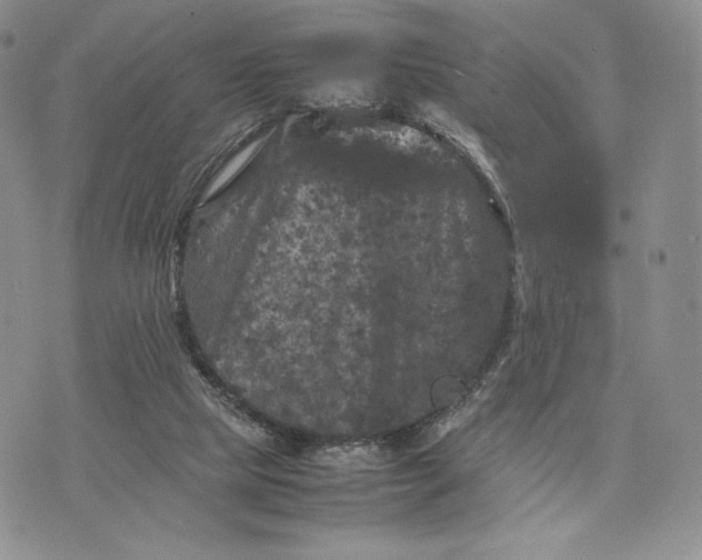 X0000074030065200609111724