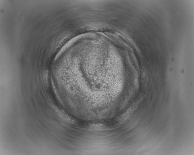 X0000074030066200609111724