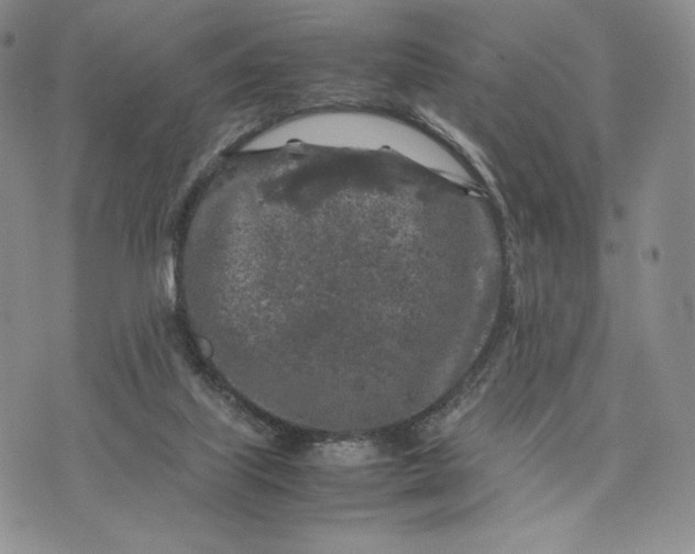 X0000074030067200609111724