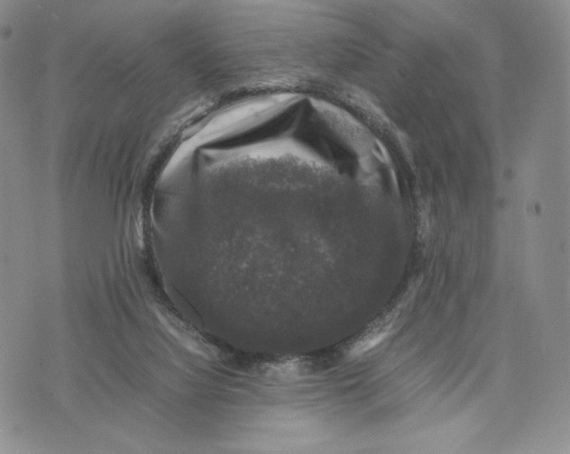 X0000074030068200609111724