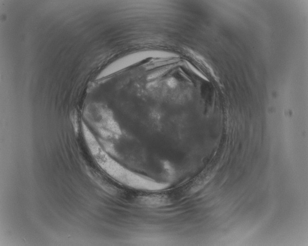 X0000074030069200609111724