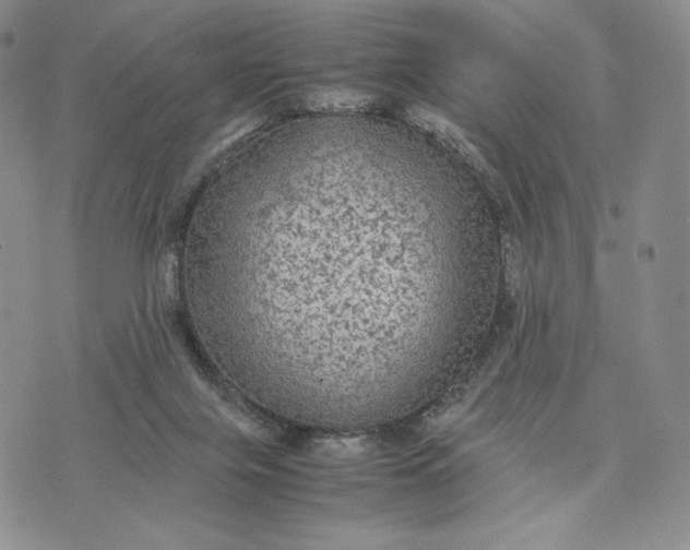 X0000074030071200609111724