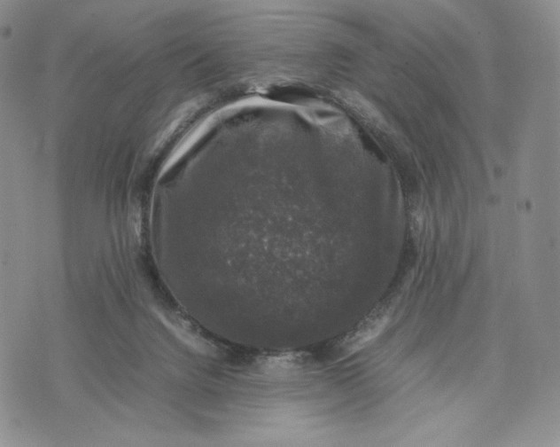 X0000074030072200609111724