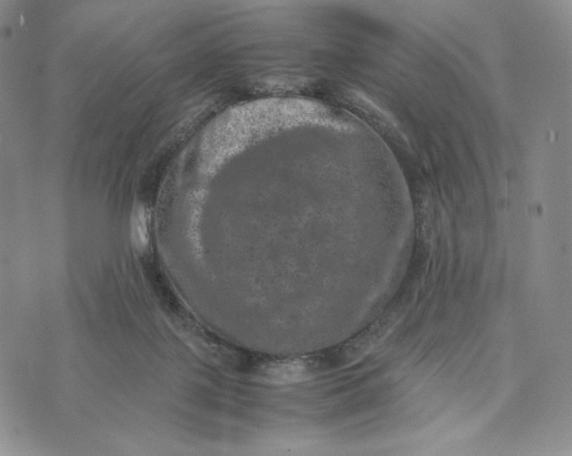 X0000074030075200609111724