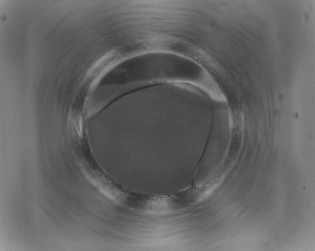 X0000074030076200609111724