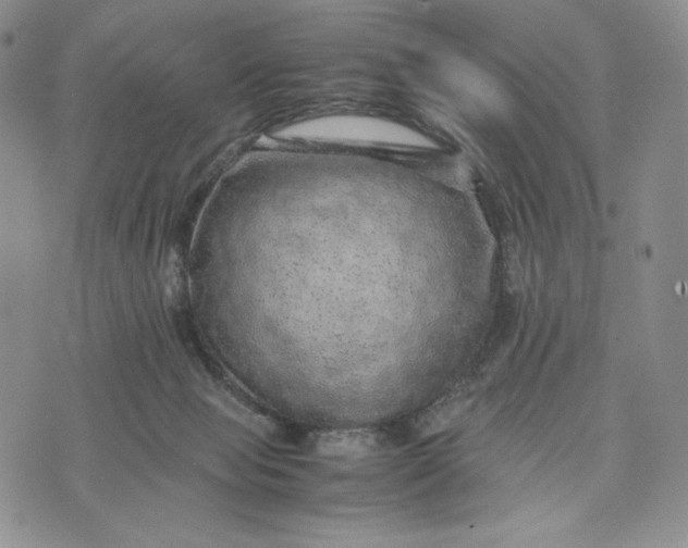 X0000074030077200609111724