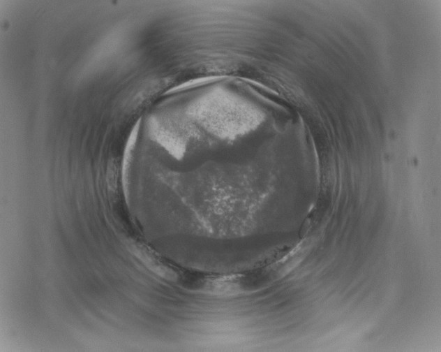 X0000074030078200609111724