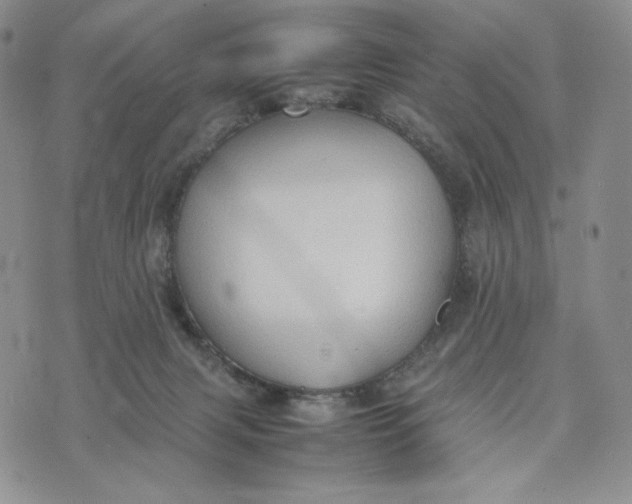 X0000074030079200609111724