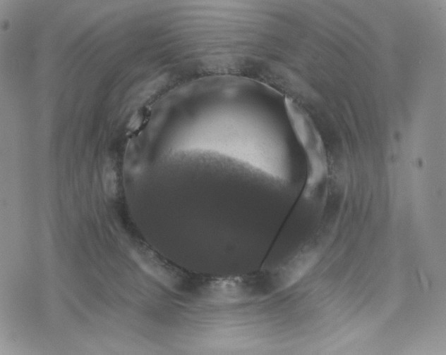 X0000074030080200609111724