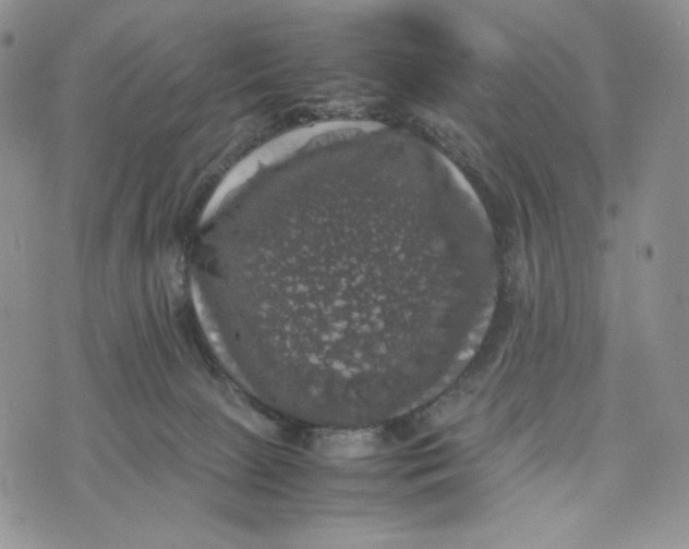 X0000074030081200609111724