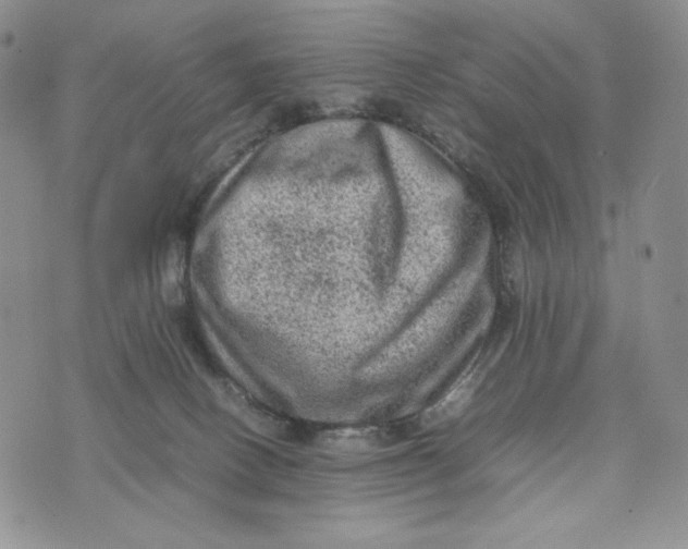 X0000074030082200609111725