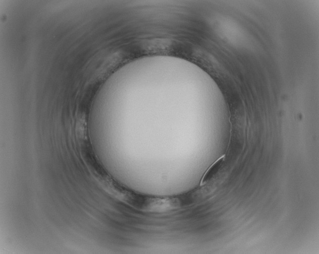 X0000074030083200609111725